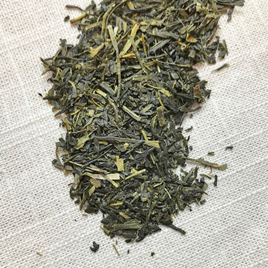 Wholesale Stash Tea Premium Green Tea