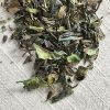 Best Stash Tea Fusion Green And White Tea