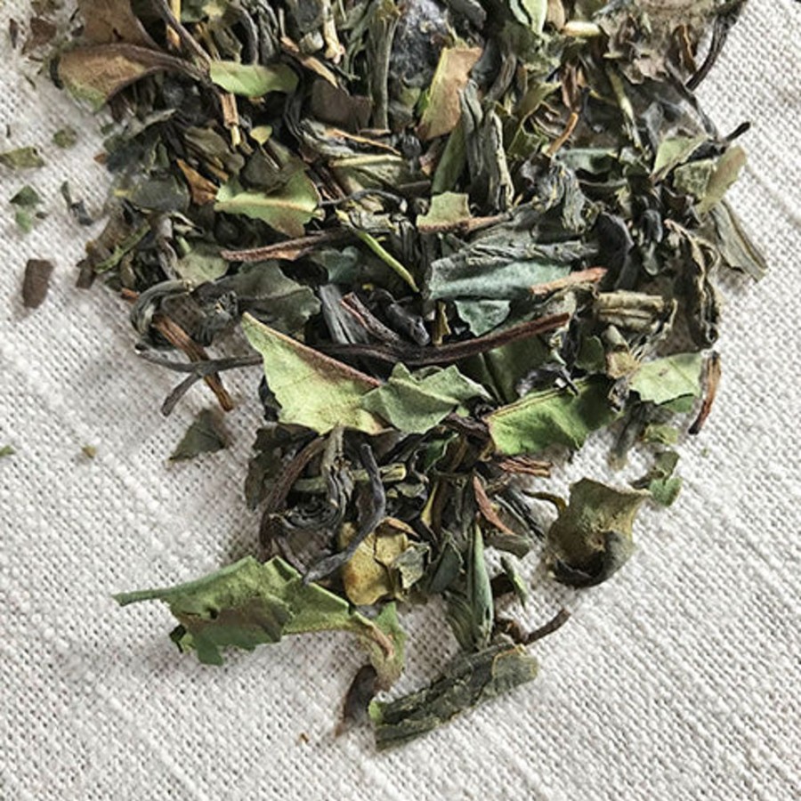 Clearance Stash Tea Fusion Green And White Tea