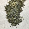 Clearance Stash Tea Premium Green Tea