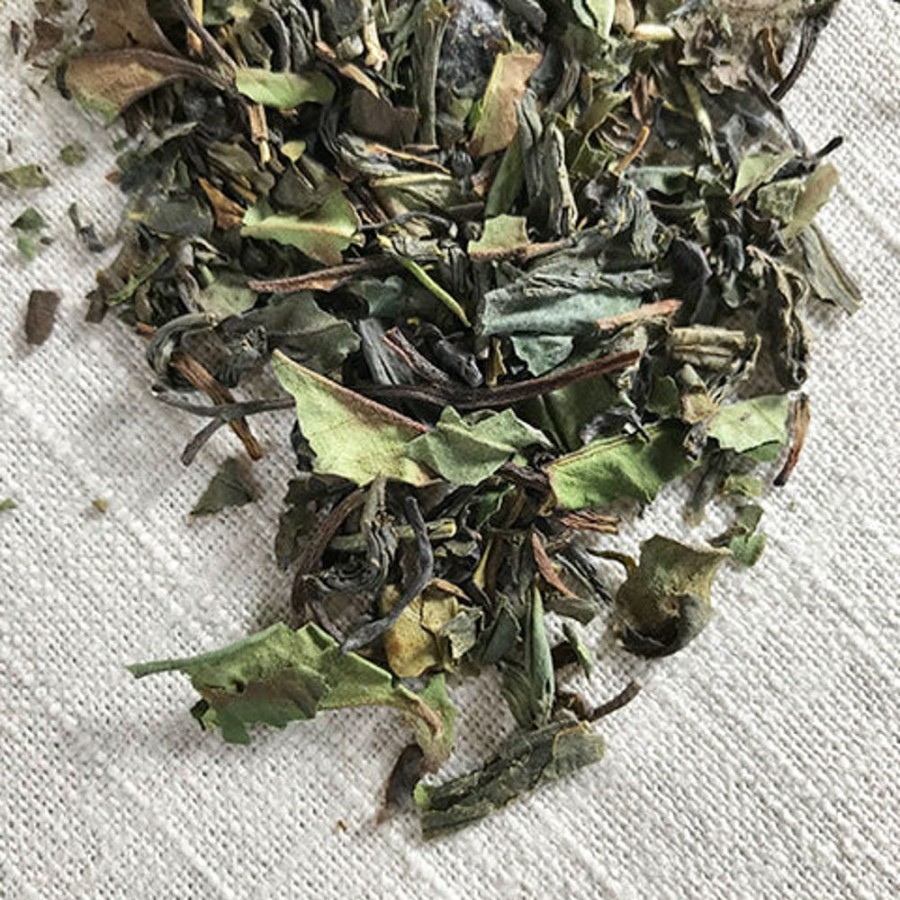 Clearance Stash Tea Fusion Green And White Tea